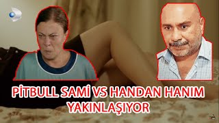 Pitbull Sami̇ Vs Handan Hanim Yakinlaşiyor