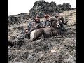 Our Dads Final Hunt - Montana Bighorn Sheep