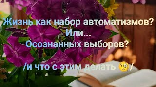 видео:  картинка: