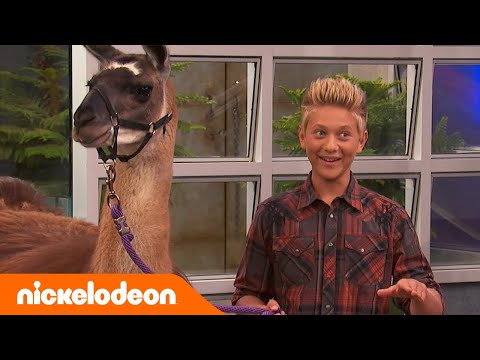 Игроделы | Лама Лама, Плюй Плюй | Полный эпизод | Nickelodeon Россия