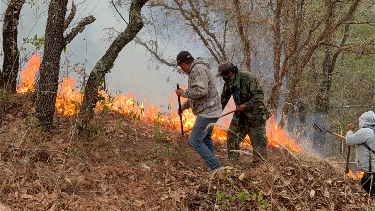 Incendio forestal en San Juan Mixtepec - YouTube