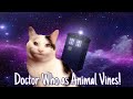 Doctor Who as Animal Vines!