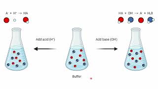 BI112 Buffers and Titrations