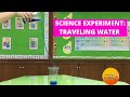 Understanding Cohesion and Adhesion through a Simple Experiment