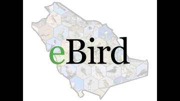 eBird Tutorial with Saudi Birding