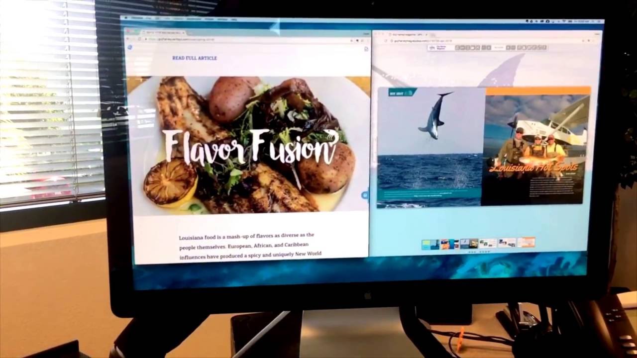 Vertical Edition Solution Compared to Digital Publishing Flip Software