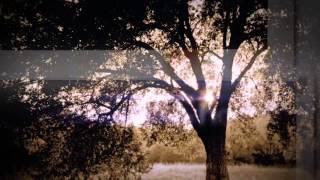 Rascal Flatts Why   Every 40 Seconds Someone Asks     Why
