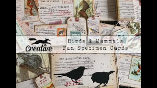 Bird and Mammal Fun Tags: Step by Step