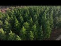 Mavic 3 Classic First Flight