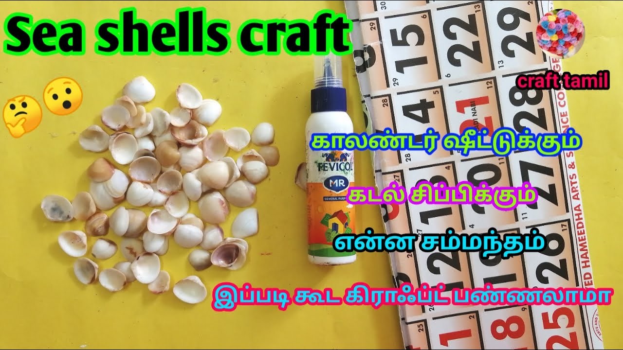 Sea shell craft idea /craft tamil