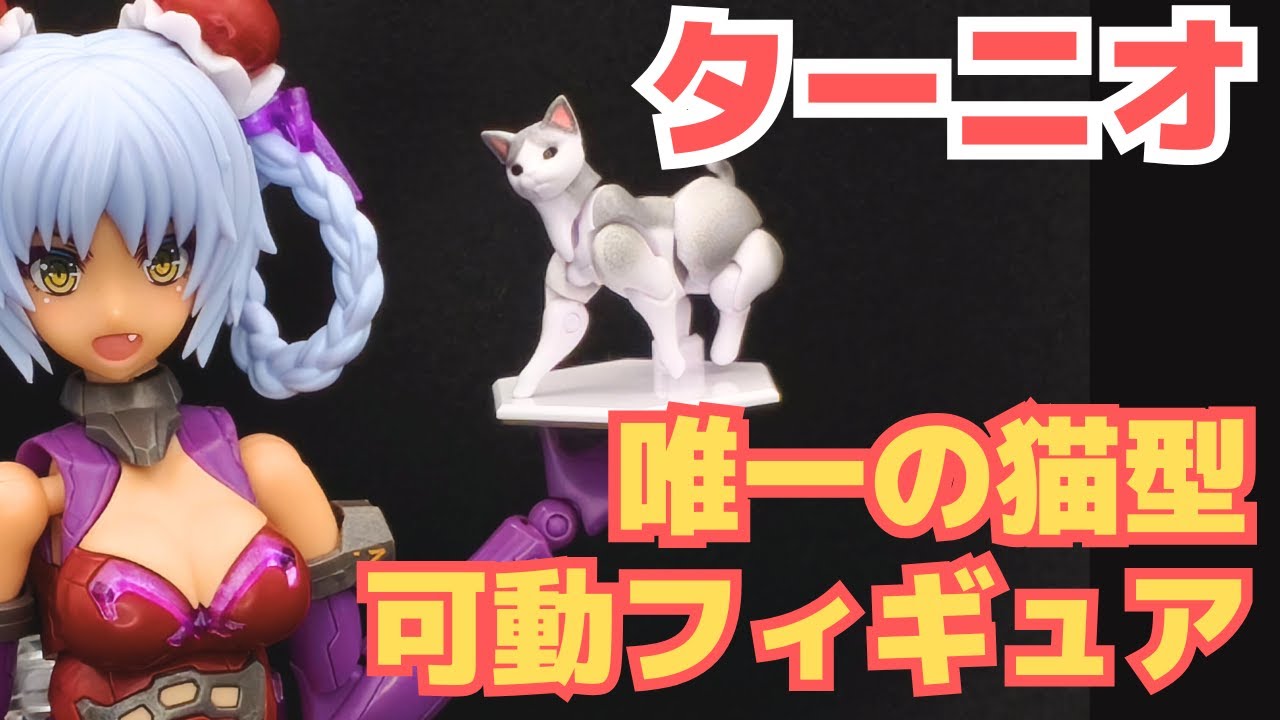Cat-Style Posable Figure! Tarnio Schrödinger's Box [chitocerium