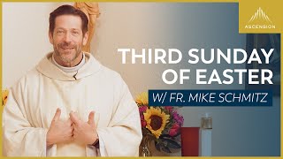 Third Sunday of Easter - Mass with Fr. Mike Schmitz by Sundays with Ascension 43,201 views 1 month ago 51 minutes