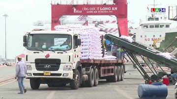 Đề xuất mở rộng Cảng Quốc tế Long An đón tàu lớn hơn | LONG AN TV