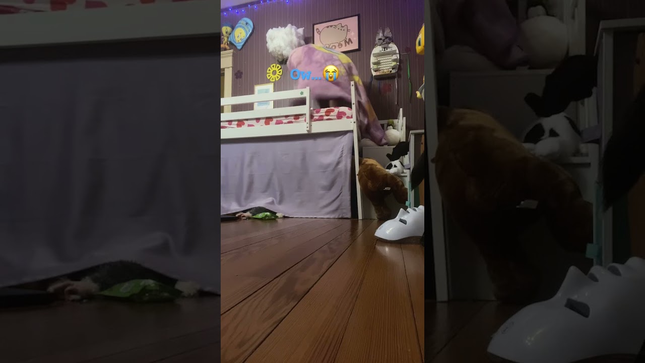 Blanket trend😭 #trending #therain #funny