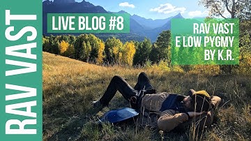 RAV Vast E Low Pygmy by K.R. RAV Vast Live Blog #8