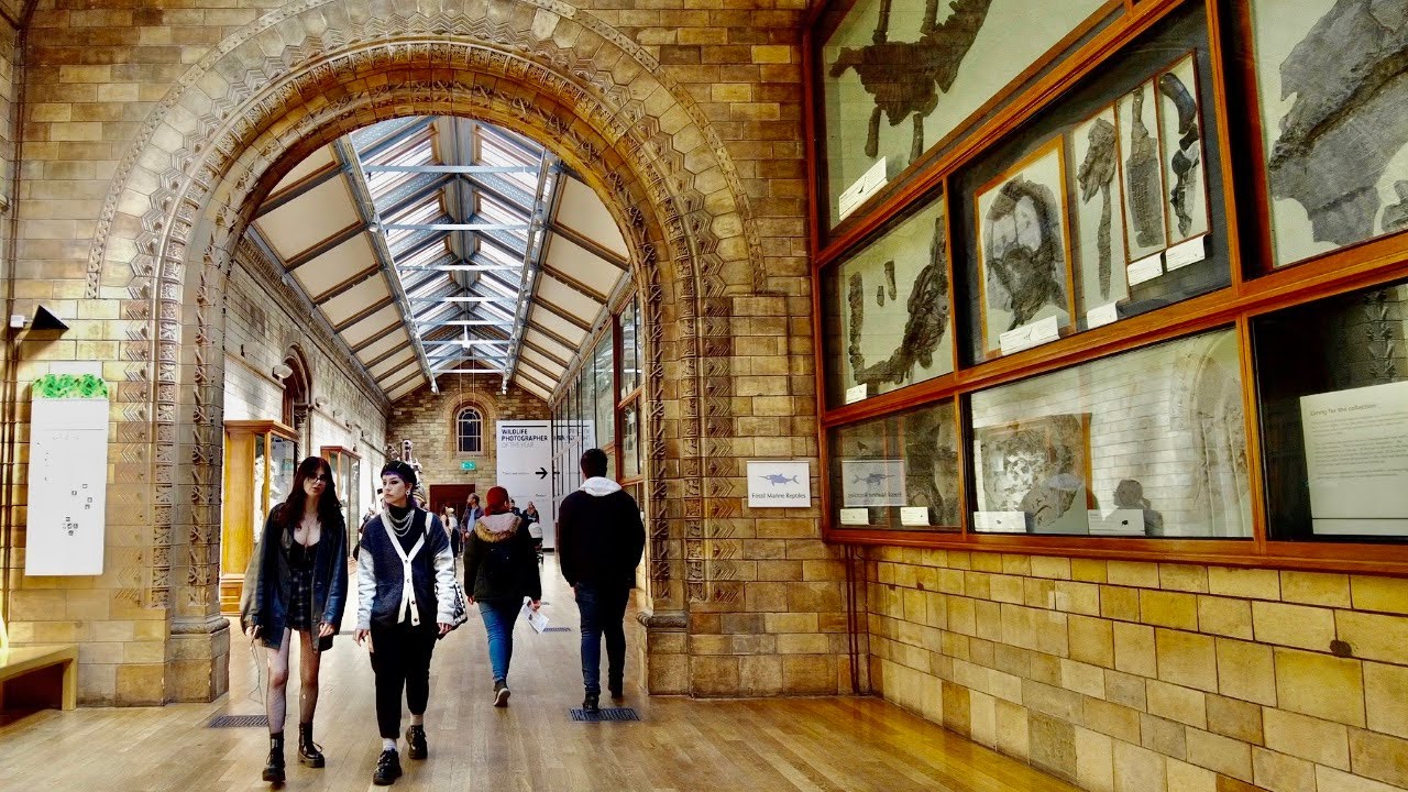 4K London Natural History Museum Walking Tour Kensington YouTube