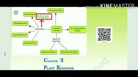Amrit Indo Canadian Academy, Biology,Class 11,Chapter 3 plant kingdom, video 1/6