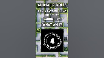 Animal Riddles 31! Can You guess the Answer?