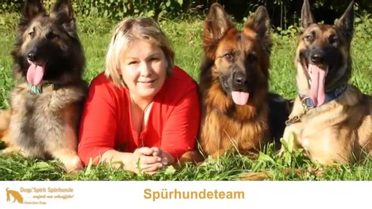 Dogs´Spirit Spürhunde Baden-Württemberg Bettwanzenspürhunde Schimmelspürhunde konzept unternehmensvideo