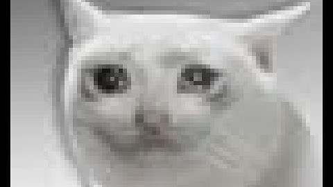 How to get "real" badge in Van