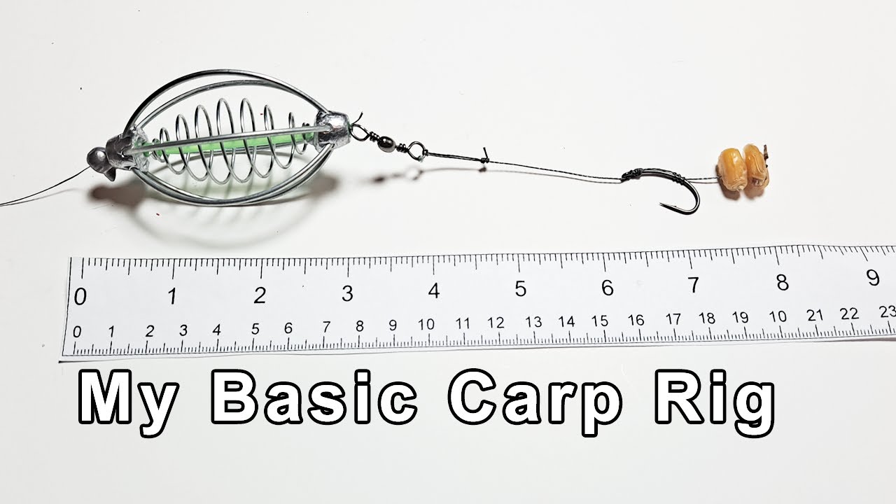 Basic Carp Rig With Method Cage ( Fishing Feeder, Method Feeder) with Hair  Rig and Boiled Field Corn 