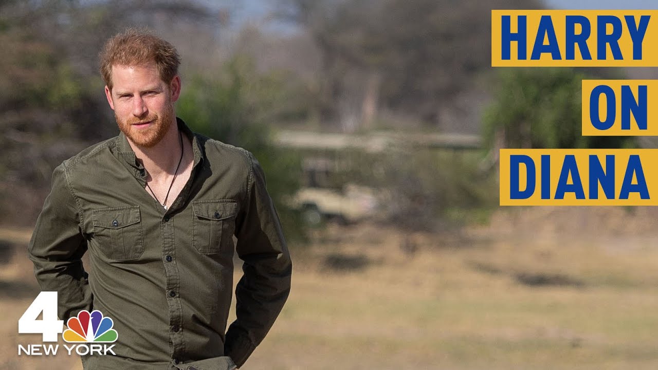 michael gargiulo trial update Prince Harry: Botswana Helped Him Cope With Diana's Death | NBC New York