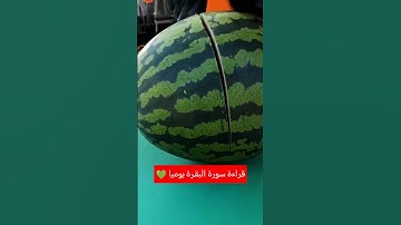 فضل قراءة سورة البقرة يوميا #الشيخ_محمد_العريفي  #محمد_العريفي #العريفي #القرآن_الكريم #البقرة #مصر