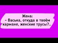 АНЕКДОТЫ! Васька и Трусы. Сборник Смешных Анекдотов!