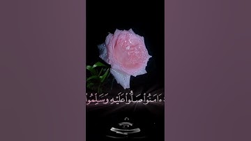 صباح الخيرجمعه مباركه حالات واتساب مقاطع قصيره قران كريم ان الله وملائكته يصلون على النبي🌸بدون حقوق