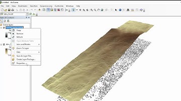Visualize DTM and Canopy in ArcScene