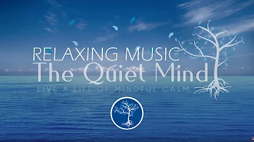 Relaxing Music for Sleep - 10 Minute Meditation Music - Sleep Music