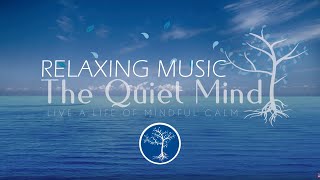 Relaxing Music for Sleep - 10 Minute Meditation Music - Sleep Music