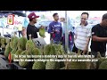 Kingly durian at commoner prices: Prices of Musang King and other durian clones take a dive