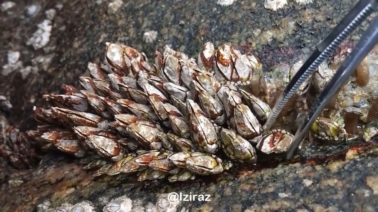 You Know What Is This Episode 848