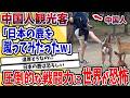 【2ch動物スレ】奈良公園の鹿、なぜか中国人観光客にだけブチギレｗｗｗ DNAまで特別ってマジかよｗｗｗ