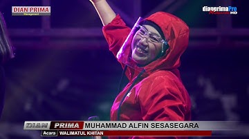 PANORAMA DIANPRIMA ALL ARTIS