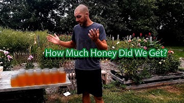 Extracting Honey From Our First Year Hive 2021