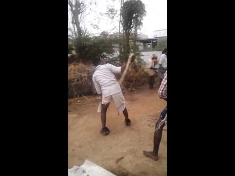 Poleramma jathara vellanti