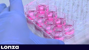 4D-Nucleofector™ Y unit - k transfekci adherentních buněk