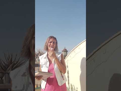 الجماع الخلفي أو الجنس الشرجي