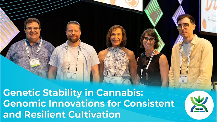 Genetic Stability in Cannabis: Genomic Innovations for Consistent and Resilient Cultivation