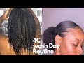 WASH DAY ROUTINE FOR 4C HAIR