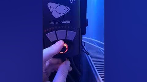 Ecotech M1 Pump stopped working