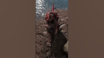 800+ Mods FO4 The General Ep11 Highlights Part 2 #fallout #fallout4 #playthrough#gaming