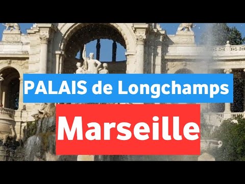 Video: Erstaunliche Marsilia Vierblättrig