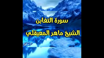 تلاوة خاشعه تقشعر لها الأبدان والأرواح سورة التغابن بصوت الشيخ ماهر المعيقلي