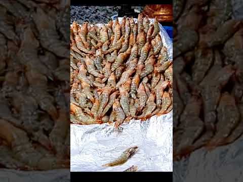     سمك وجنبري راس البر