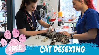 DAY ONE of RSPCA South Australia's free cat desexing program.