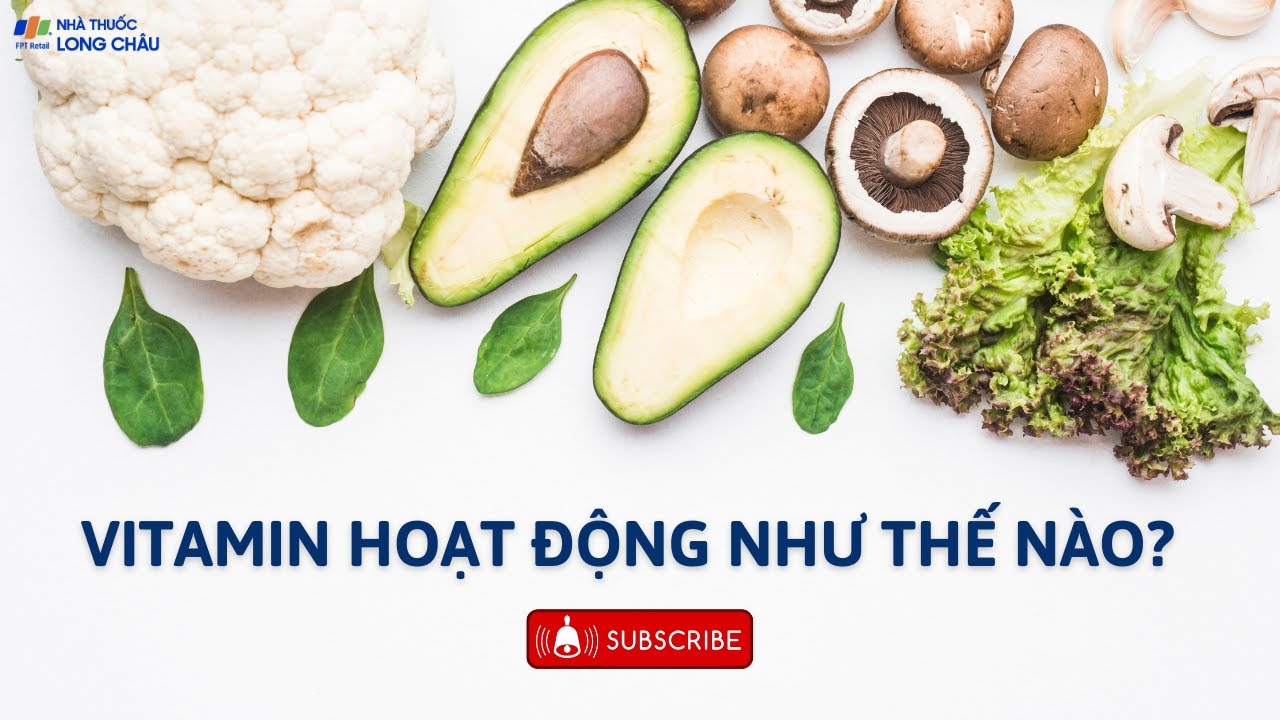 Vitamin hoạt động như thế nào?