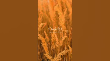 القرآن الكريم •|• سورة التوبة – الآية 40 ("لا تَحْزَنْ إِنَّ اللَّهَ مَعَنَا")#قران_كريم#سورة_التوبة